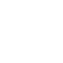 Dynamo arts